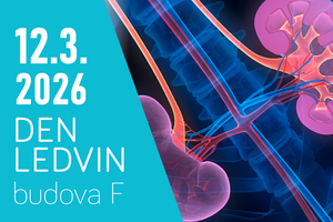 Světový den ledvin